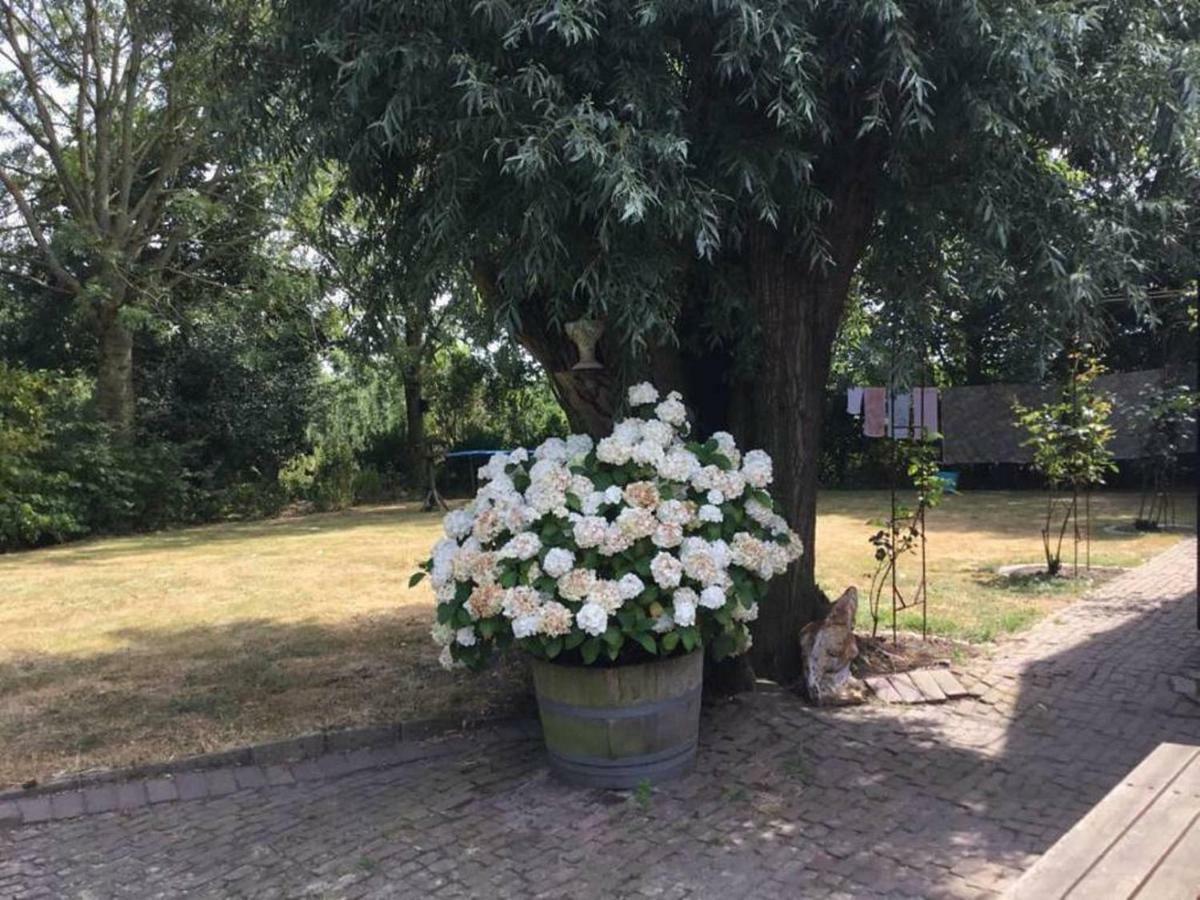 Royale Bovenwoning Villa Vlake Exteriör bild